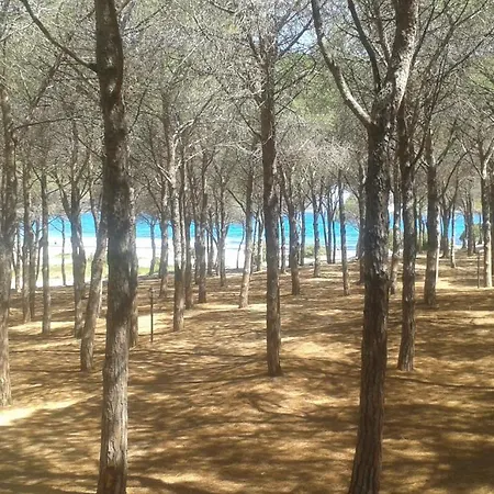 Lejlighed Marea
